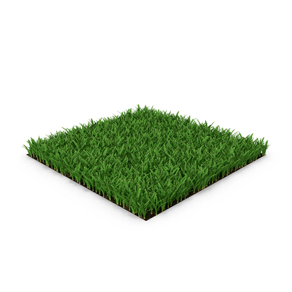 Saint Augustine Warm Season Grass PNG Images & PSDs for Download ...