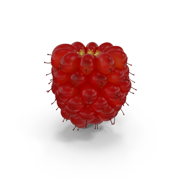Salmonberry PNG & PSD Images Salmonberry PNG & PSD Images