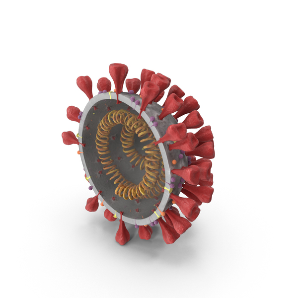 Coronavirus: SARS-CoV-2 COVID-19 Cross Section PNG & PSD Images