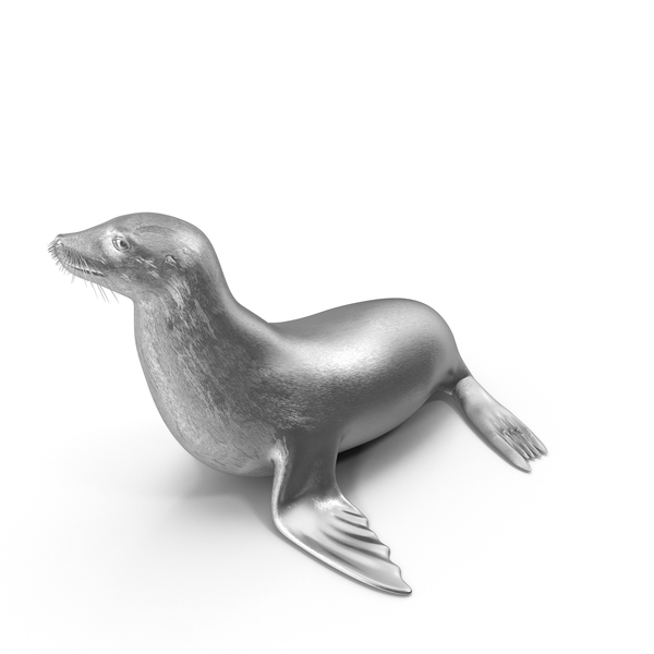 Sea Lion Silver PNG & PSD Images Sea Lion Silver PNG & PSD Images