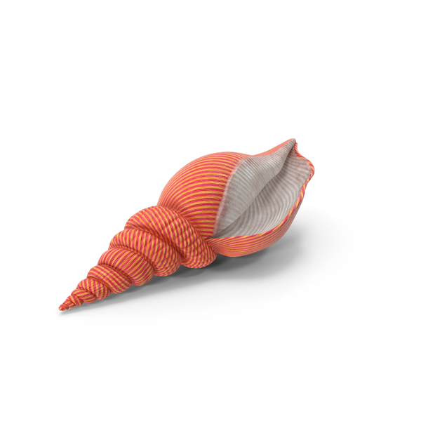 Clamshell: Sea Shell PNG & PSD Images Clamshell: Sea Shell PNG & PSD Images