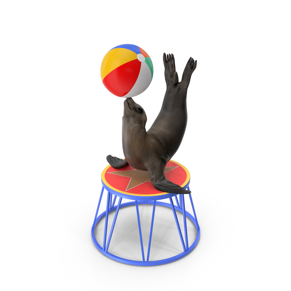 Beach Ball: Seal On A Circus Stand PNG & PSD Images Beach Ball: Seal On A Circus Stand PNG & PSD Images