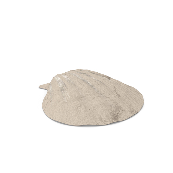 Clamshell: Seashell PNG & PSD Images Clamshell: Seashell PNG & PSD Images
