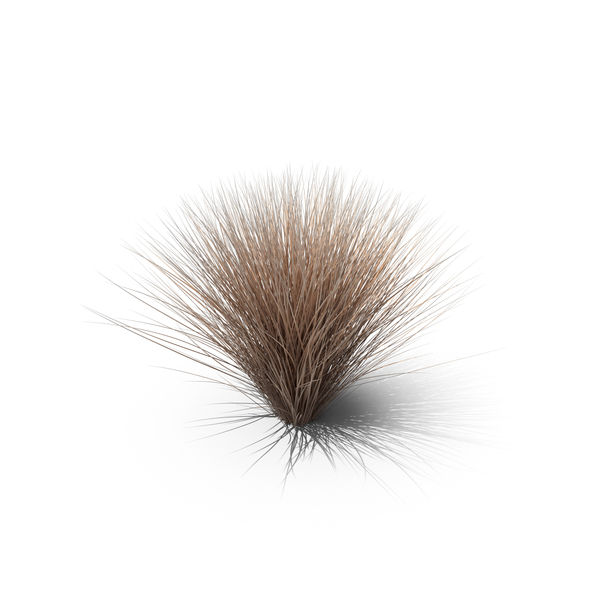 Bush: Sedge Brown PNG & PSD Images Bush: Sedge Brown PNG & PSD Images