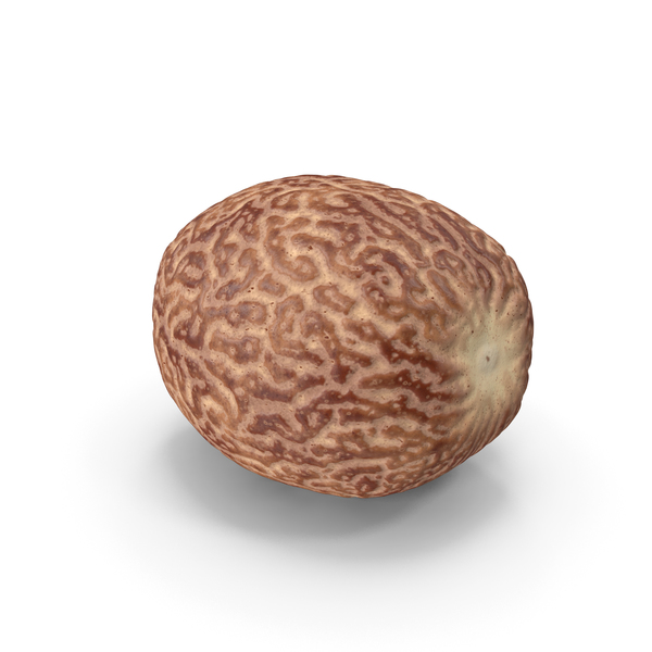Nuts: Shea Nut Peeled PNG & PSD Images Nuts: Shea Nut Peeled PNG & PSD Images