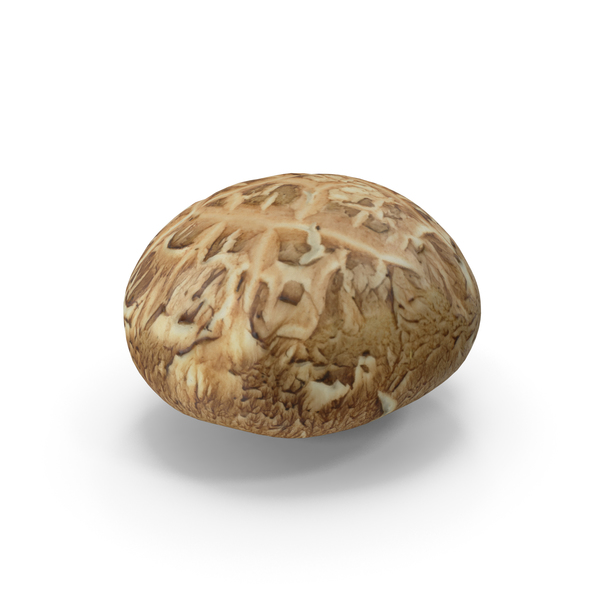 Shiitake Mushroom PNG & PSD Images