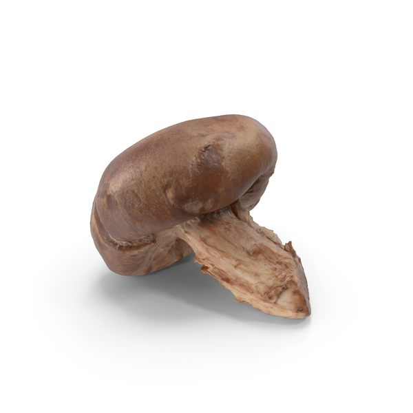 Edible: Shitake Mushroom PNG & PSD Images Edible: Shitake Mushroom PNG & PSD Images