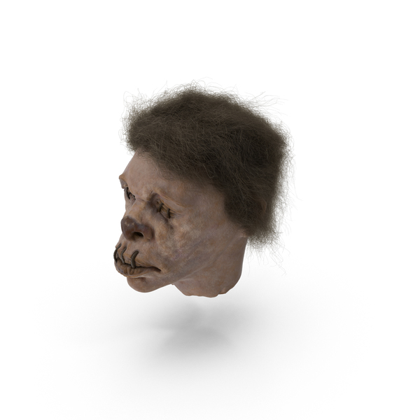 Shrunken Head PNG & PSD Images Shrunken Head PNG & PSD Images