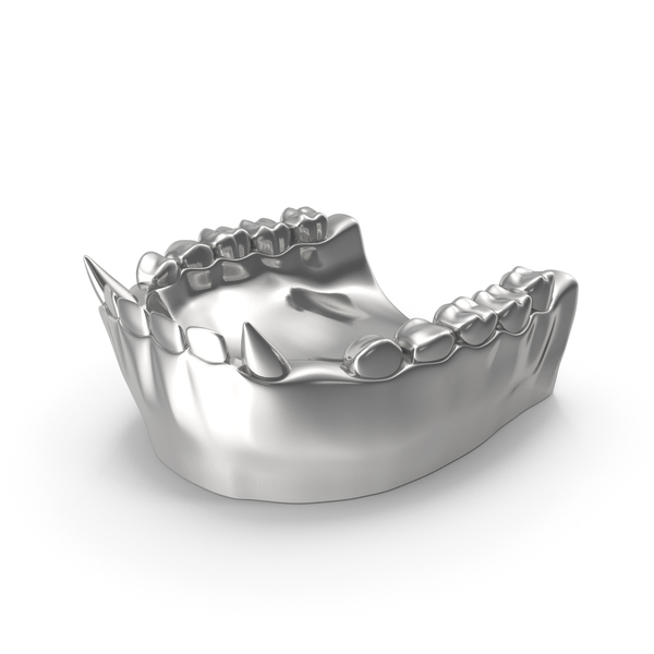 Teeth: Silver Animal Mouth Lower Jaw PNG & PSD Images Teeth: Silver Animal Mouth Lower Jaw PNG & PSD Images
