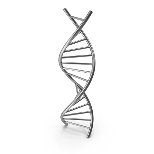 Symbols: Silver DNA Chain PNG & PSD Images Symbols: Silver DNA Chain PNG & PSD Images