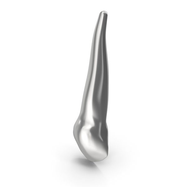 Silver Human Teeth Upper Canine PNG & PSD Images Silver Human Teeth Upper Canine PNG & PSD Images