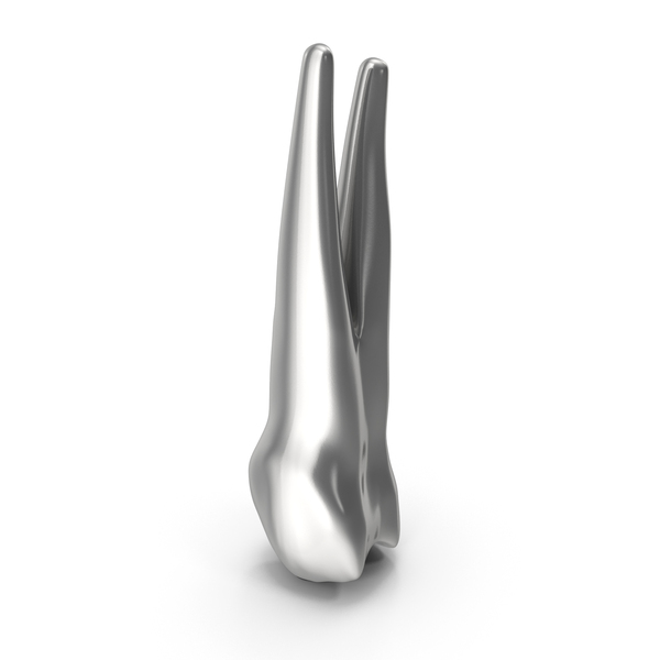 Silver Human Teeth Upper First Premolar PNG & PSD Images Silver Human Teeth Upper First Premolar PNG & PSD Images