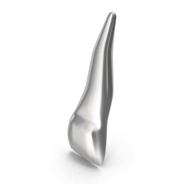 Silver Human Teeth Upper Lateral Incisor PNG & PSD Images Silver Human Teeth Upper Lateral Incisor PNG & PSD Images