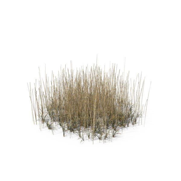 Grasses: Simple Grass PNG & PSD Images