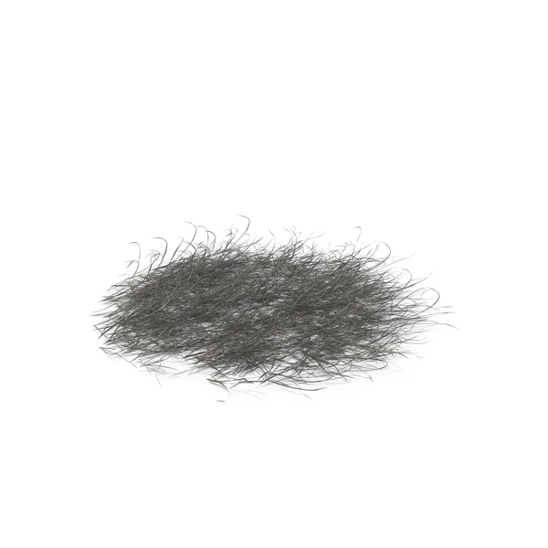 Grasses: Simple Grass PNG & PSD Images Grasses: Simple Grass PNG & PSD Images