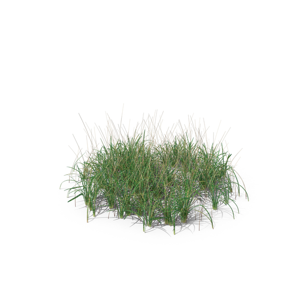 Grasses: Simple Grass PNG & PSD Images Grasses: Simple Grass PNG & PSD Images