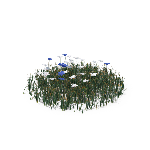 Grasses: Simple Grass PNG & PSD Images Grasses: Simple Grass PNG & PSD Images