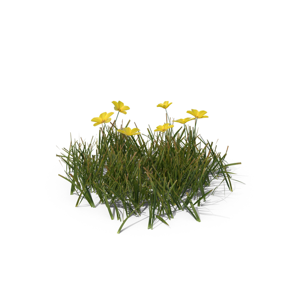 Grasses: Simple Grass PNG & PSD Images Grasses: Simple Grass PNG & PSD Images
