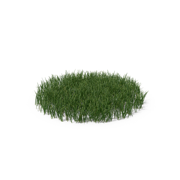 Grasses: Simple Grass PNG & PSD Images Grasses: Simple Grass PNG & PSD Images