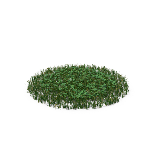 Grasses: Simple Grass PNG & PSD Images Grasses: Simple Grass PNG & PSD Images