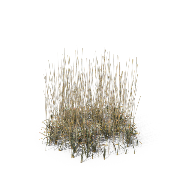 Grasses: Simple Grass PNG & PSD Images Grasses: Simple Grass PNG & PSD Images