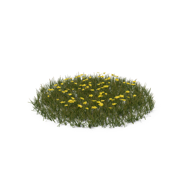 Grasses: Simple Grass PNG & PSD Images Grasses: Simple Grass PNG & PSD Images