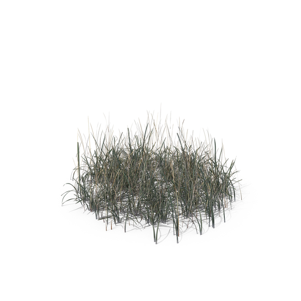 Grasses: Simple Grass (Medium) PNG & PSD Images Grasses: Simple Grass (Medium) PNG & PSD Images