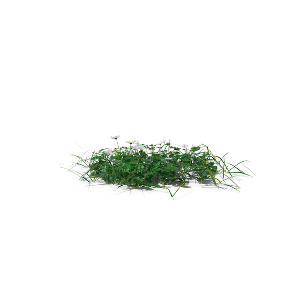 Grasses: Simple Grass Medium PNG & PSD Images Grasses: Simple Grass Medium PNG & PSD Images