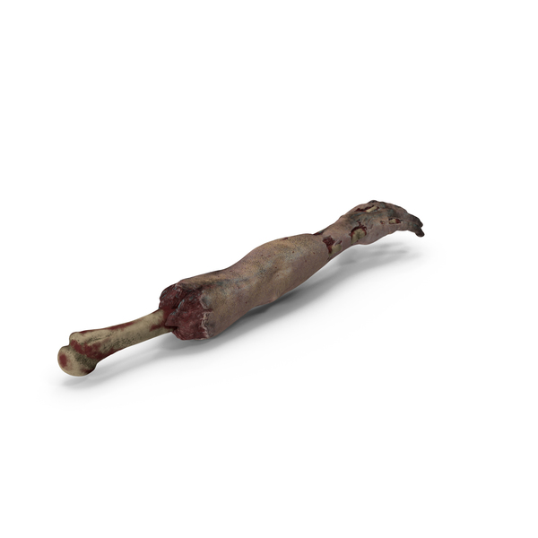 Single Zombie Arm PNG & PSD Images Single Zombie Arm PNG & PSD Images