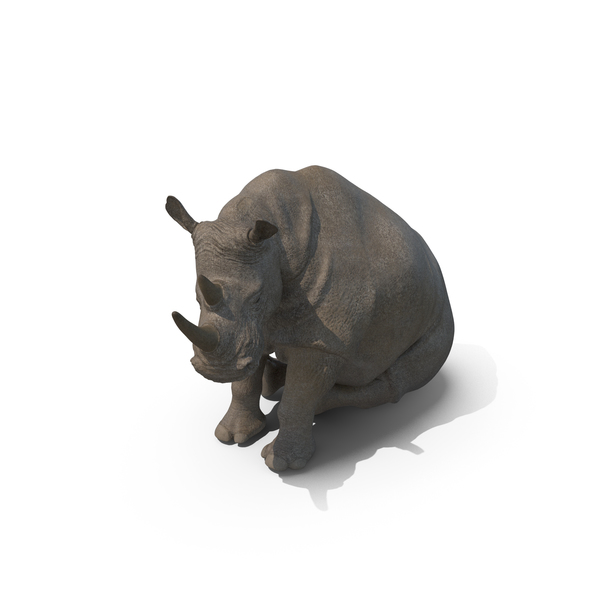Rhinoceros: Sitting Rhino PNG & PSD Images Rhinoceros: Sitting Rhino PNG & PSD Images