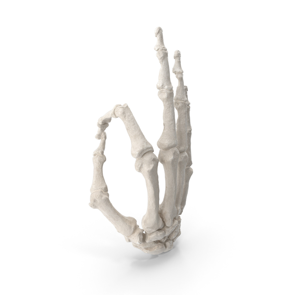 Hand Gestures: Skeletal Hole Sign PNG & PSD Images Hand Gestures: Skeletal Hole Sign PNG & PSD Images