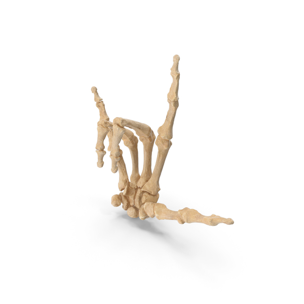 Hand Gestures: Skeletal I Love You Sign PNG & PSD Images Hand Gestures: Skeletal I Love You Sign PNG & PSD Images