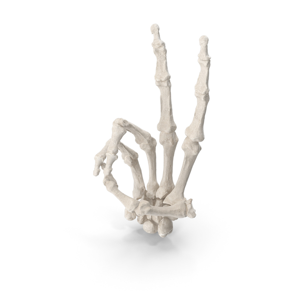 Hand Gestures: Skeletal Peace Sign PNG & PSD Images Hand Gestures: Skeletal Peace Sign PNG & PSD Images