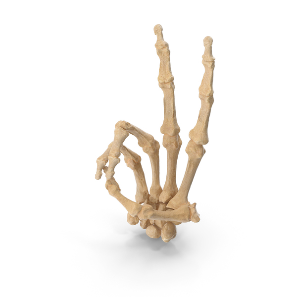 Hand Gestures: Skeletal Peace Sign PNG & PSD Images Hand Gestures: Skeletal Peace Sign PNG & PSD Images