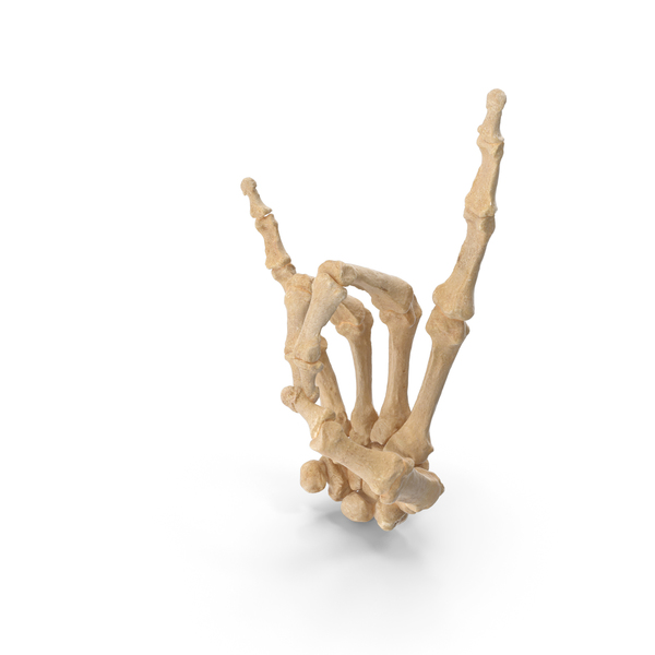 Hand Gestures: Skeletal Rock N Roll Sign PNG & PSD Images Hand Gestures: Skeletal Rock N Roll Sign PNG & PSD Images