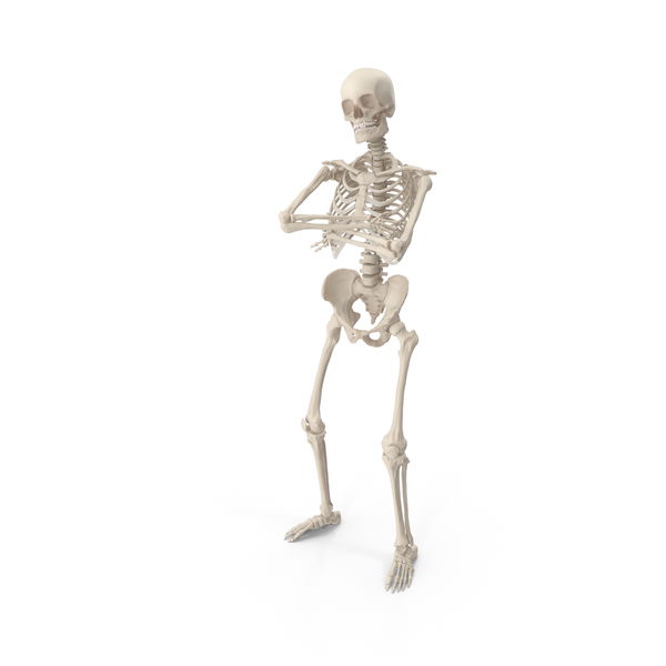 Male: Skeleton B-Boy PNG & PSD Images