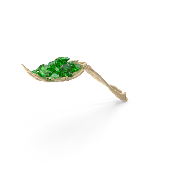Human: Skeleton Hand Handful with Emerald Gems PNG & PSD Images Human: Skeleton Hand Handful with Emerald Gems PNG & PSD Images