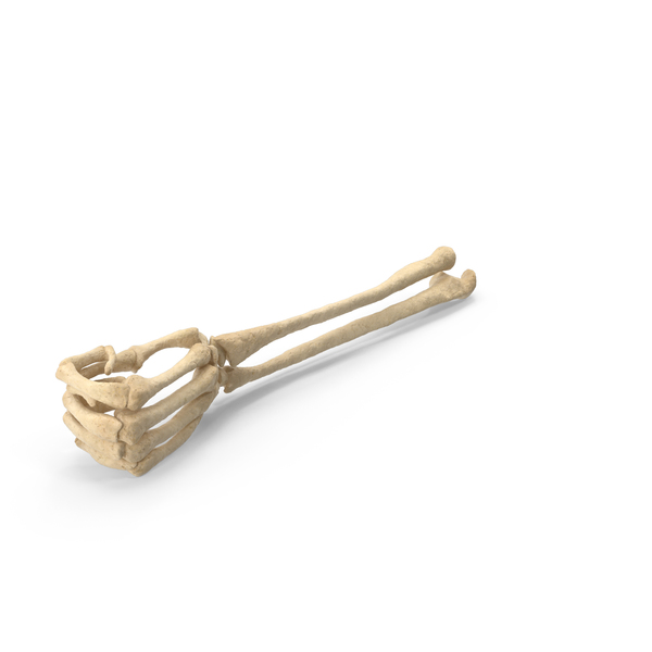Skeleton Hand Handle Grip Pose PNG & PSD Images Skeleton Hand Handle Grip Pose PNG & PSD Images