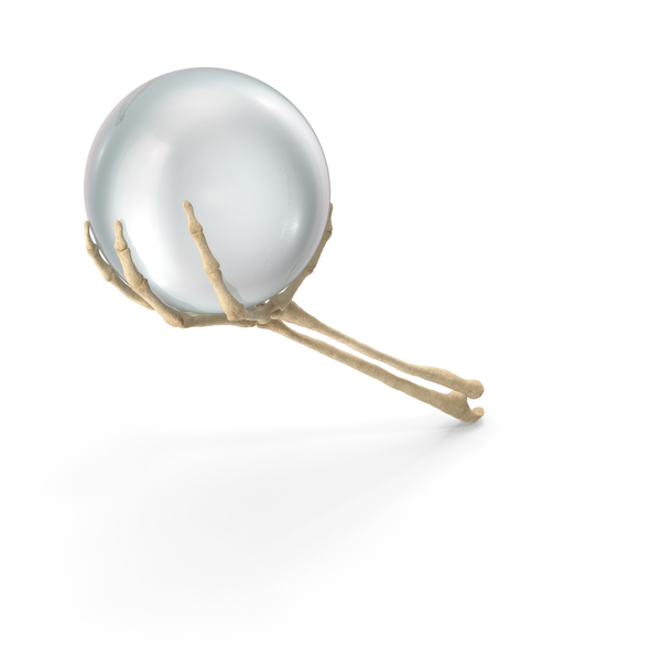 Skeleton Hand Holding a Crystal Ball PNG & PSD Images Skeleton Hand Holding a Crystal Ball PNG & PSD Images