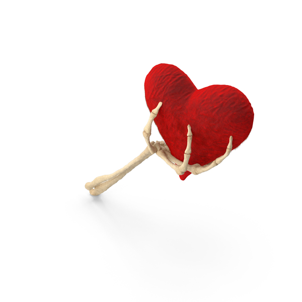 Skeleton Hand Holding a Fluffy Heart PNG & PSD Images Skeleton Hand Holding a Fluffy Heart PNG & PSD Images