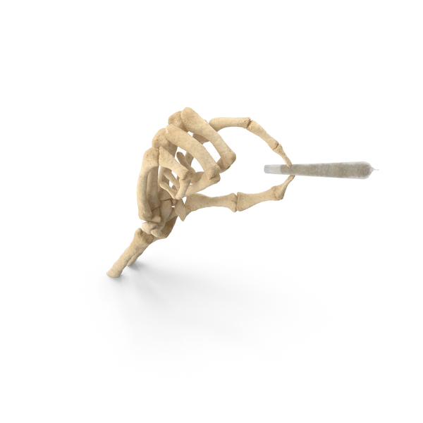 Skeleton Hand Holding a Joint PNG & PSD Images Skeleton Hand Holding a Joint PNG & PSD Images