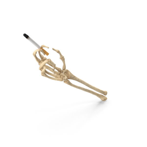 Skeleton Hand Holding a Lit Cigarette with Ash PNG & PSD Images Skeleton Hand Holding a Lit Cigarette with Ash PNG & PSD Images
