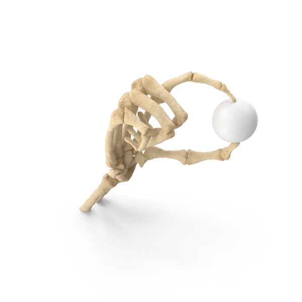 Skeleton Hand Holding a Ping Pong Ball PNG & PSD Images Skeleton Hand Holding a Ping Pong Ball PNG & PSD Images