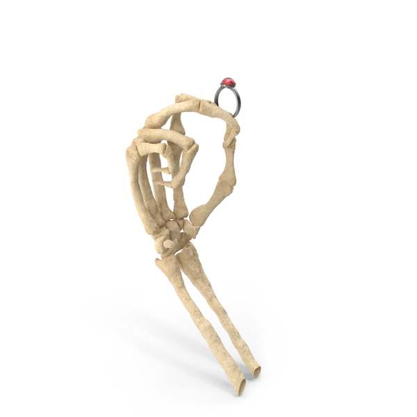 Skeleton Hand Holding a Silver Ring with Large Ruby Diamond PNG & PSD Images Skeleton Hand Holding a Silver Ring with Large Ruby Diamond PNG & PSD Images
