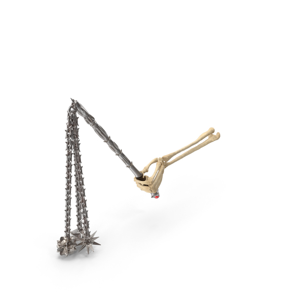 skeleton Hand Holding a Triple Flail PNG & PSD Images skeleton Hand Holding a Triple Flail PNG & PSD Images