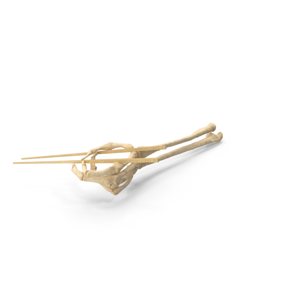 Skeleton Hand Holding Chopsticks PNG & PSD Images Skeleton Hand Holding Chopsticks PNG & PSD Images
