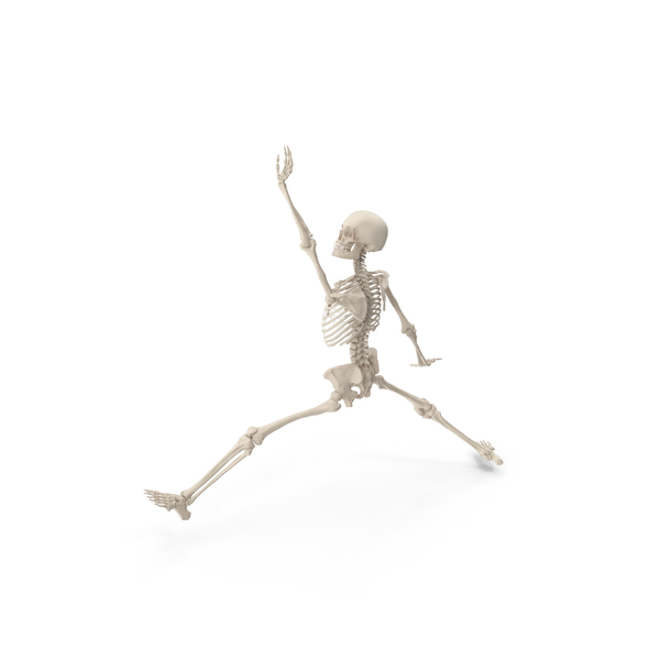 Male: Skeleton Slam Dunk PNG & PSD Images Male: Skeleton Slam Dunk PNG & PSD Images