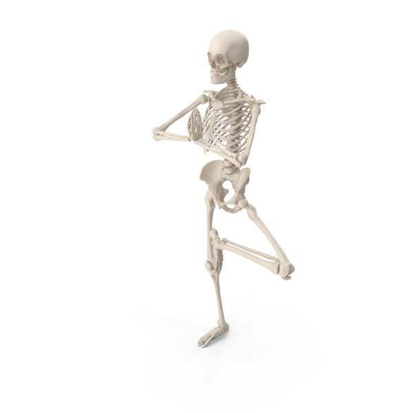 Male: Skeleton Tree Pose PNG & PSD Images Male: Skeleton Tree Pose PNG & PSD Images