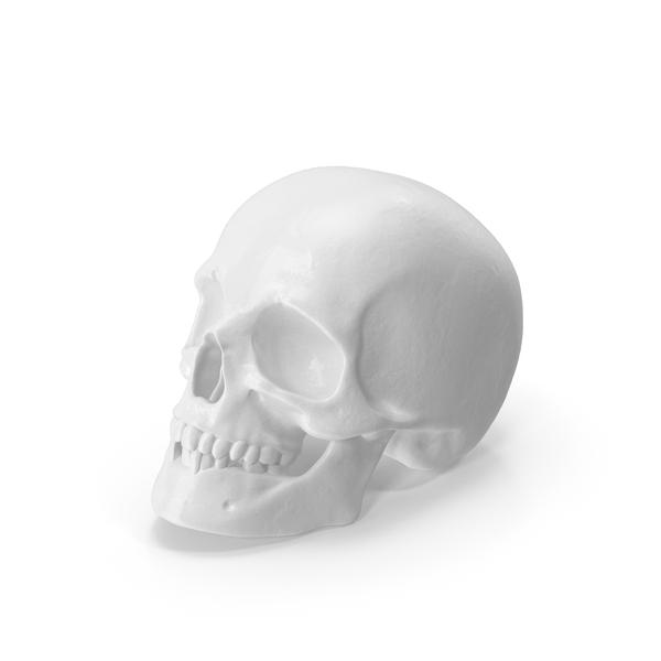 Skull White PNG & PSD Images Skull White PNG & PSD Images