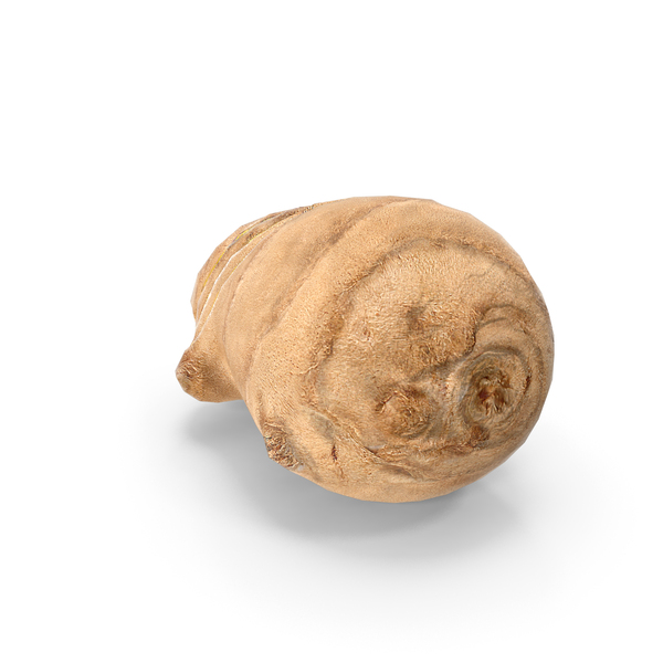 Sliced Ginger Piece PNG & PSD Images